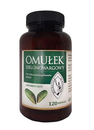 Obrazek Franciszkański OMUŁEK ZIELONOWARGOWY