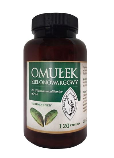 Obrazek Franciszkański OMUŁEK ZIELONOWARGOWY