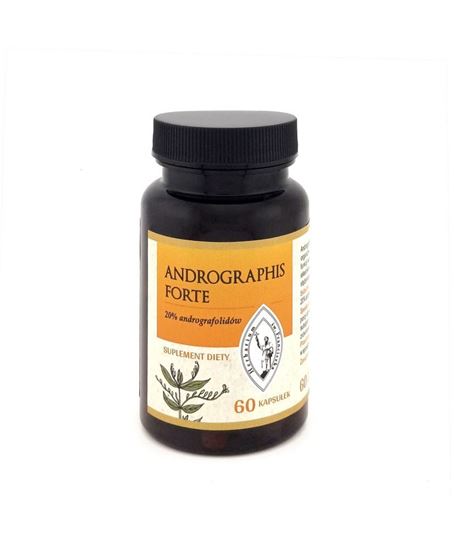 Obrazek ANDROGRAPHIS FORTE 20% andrografolidów 60kaps.