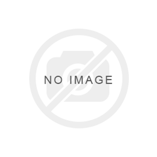 Obrazek HERBATA ZIELONA SENCHA 100 g